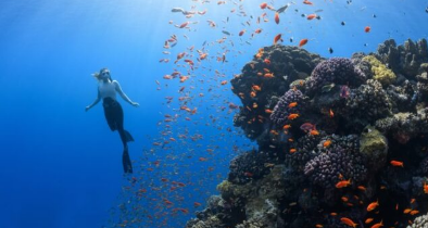 可持续旅游全球中心和WTTC推出全球旅行和旅游业开创性研究