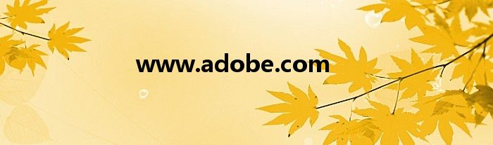 www.adobe.com