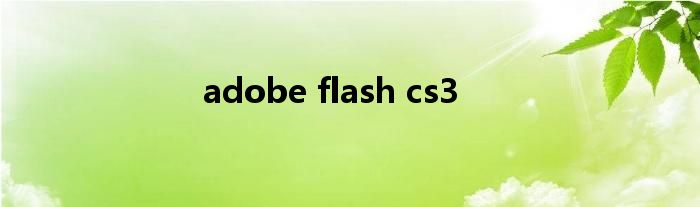 adobe flash cs3