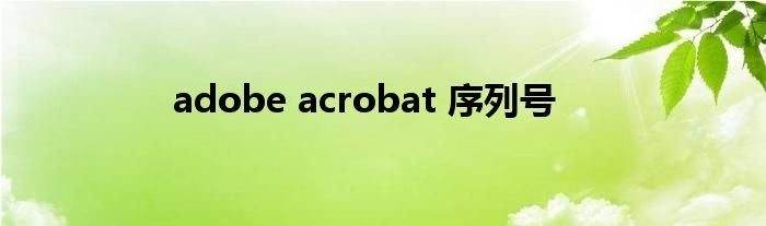 adobe acrobat 序列号