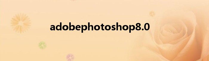 adobephotoshop8.0