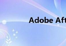 Adobe After Effects CS4