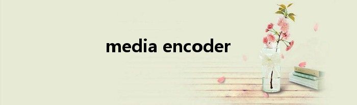 media encoder