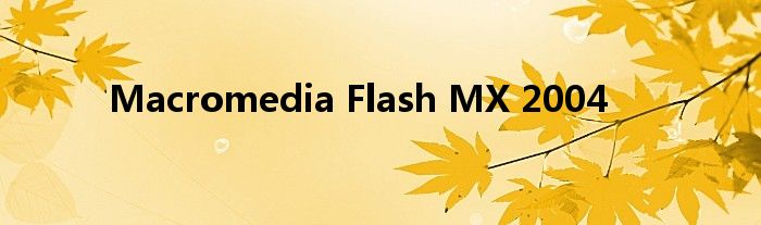 Macromedia Flash MX 2004