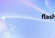 flashplayer12