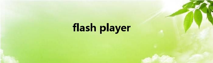 flash player