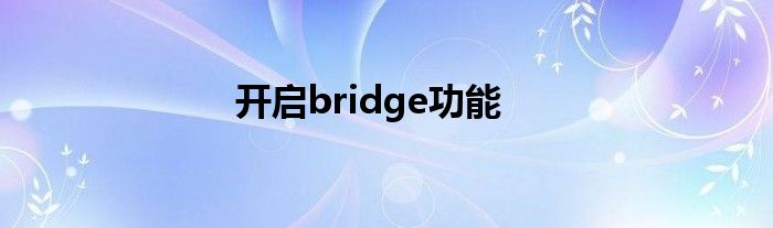 开启bridge功能