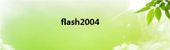 flash2004