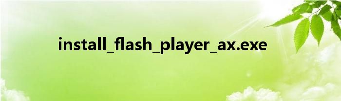 install_flash_player_ax.exe