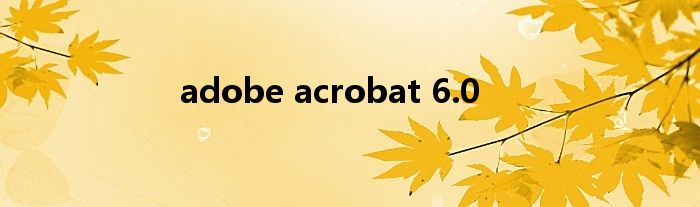 adobe acrobat 6.0