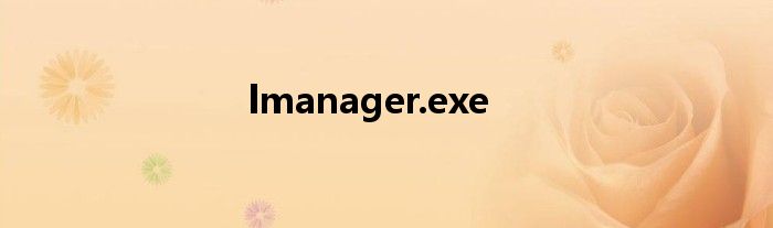 lmanager.exe