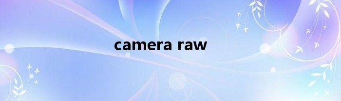 camera raw