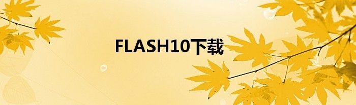 FLASH10下载