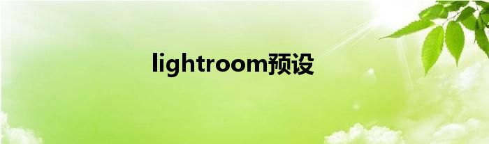 lightroom预设