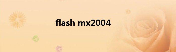 flash mx2004