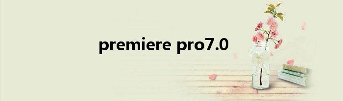 premiere pro7.0