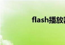 flash播放器最新版本下载