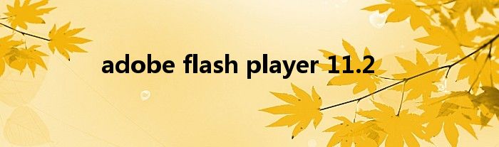 adobe flash player 11.2