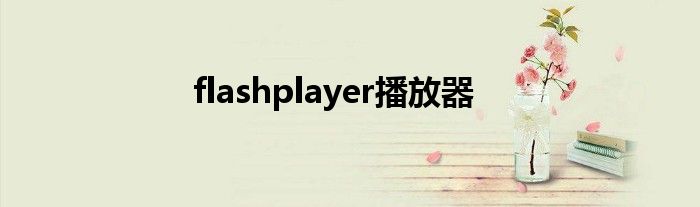 flashplayer播放器