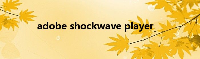 adobe shockwave player