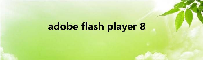 adobe flash player 8