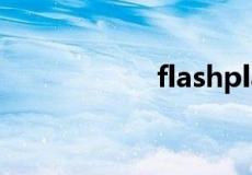 flashplayer9.0下载