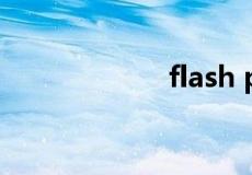 flash player 11.5