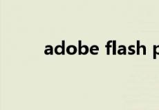 adobe flash player最新版本下载