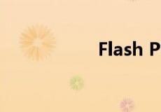 Flash Player 播放器