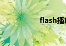 flash播放器官方下载