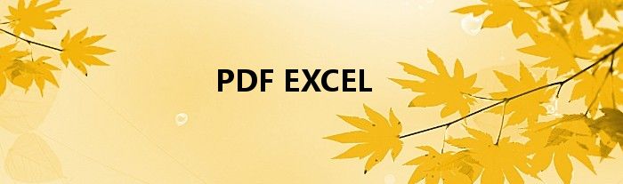 PDF EXCEL