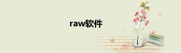 raw软件