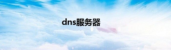 dns服务器