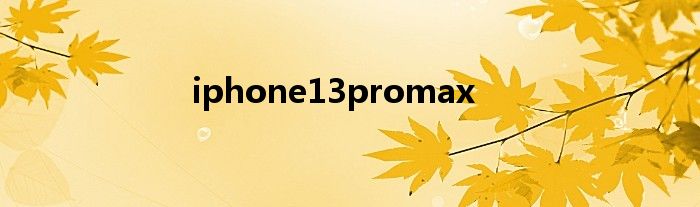 iphone13promax