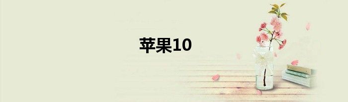 苹果10