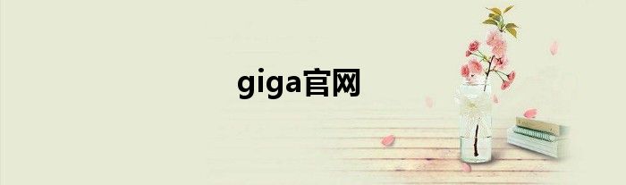 giga官网