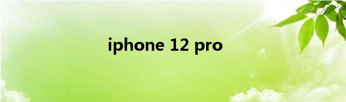 iphone 12 pro