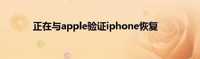 正在与apple验证iphone恢复