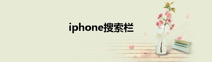 iphone搜索栏