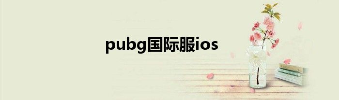 pubg国际服ios