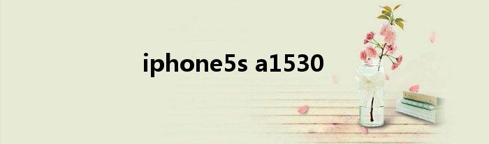 iphone5s a1530