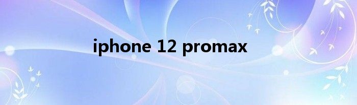 iphone 12 promax