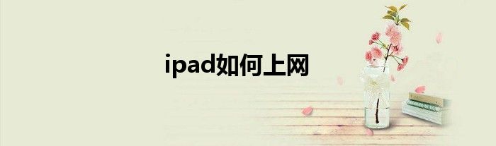 ipad如何上网