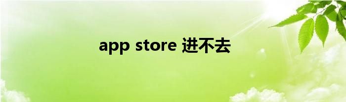 app store 进不去