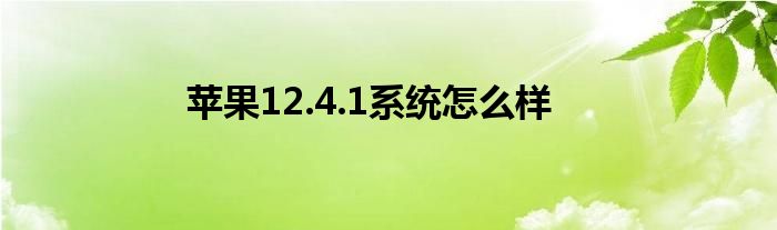 苹果12.4.1系统怎么样