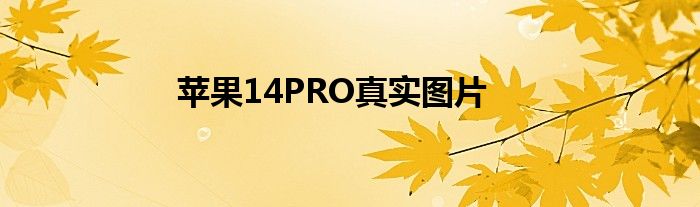 苹果14PRO真实图片