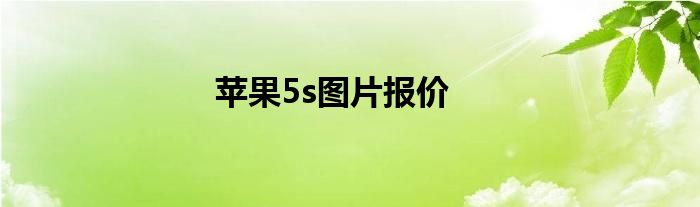 苹果5s图片报价