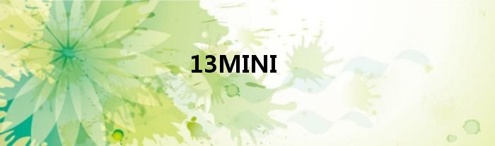 13MINI