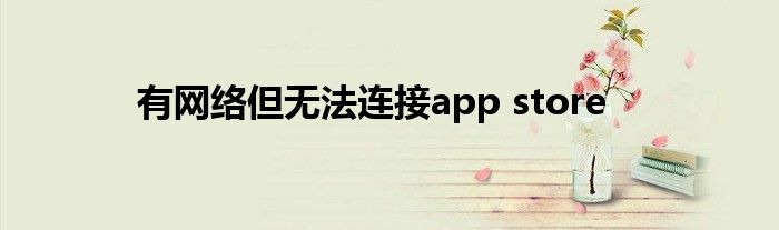 有网络但无法连接app store