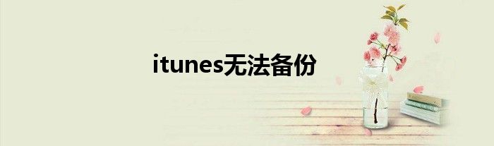 itunes无法备份